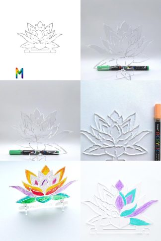 0006 Лотусы Плексик размер M