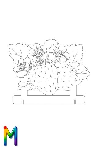 0009 Клубника Плексик Размер M