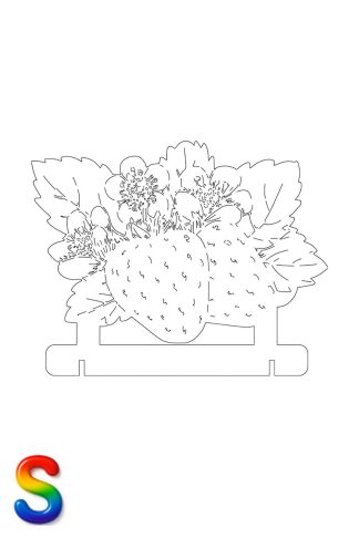 0009 Клубника Плексик Размер S